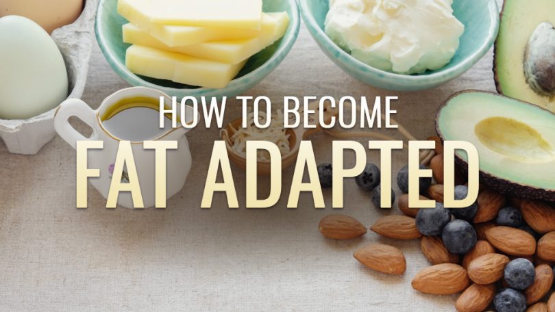 What Is Fat Adaptation?